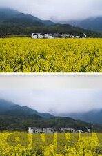 谁能预测足球比分-谁能预测足球比分，一场充满未知的博弈与探索